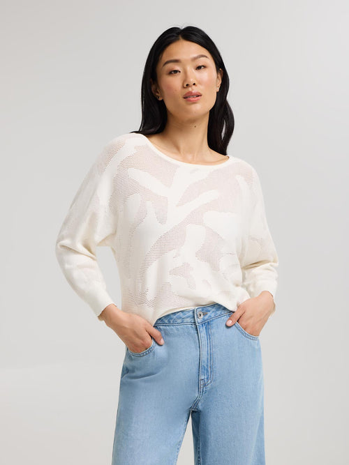 3/4 Dolman Sleeve Pointelle Sweater