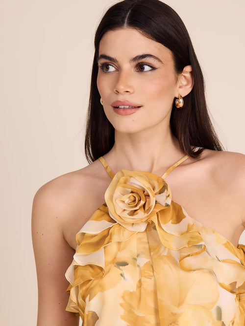 Printed Chiffon Halter Neck Blouse