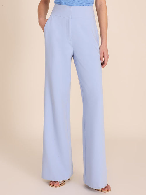 Coloured High-Waisted Wide-Leg Pant