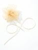 Antique Creme