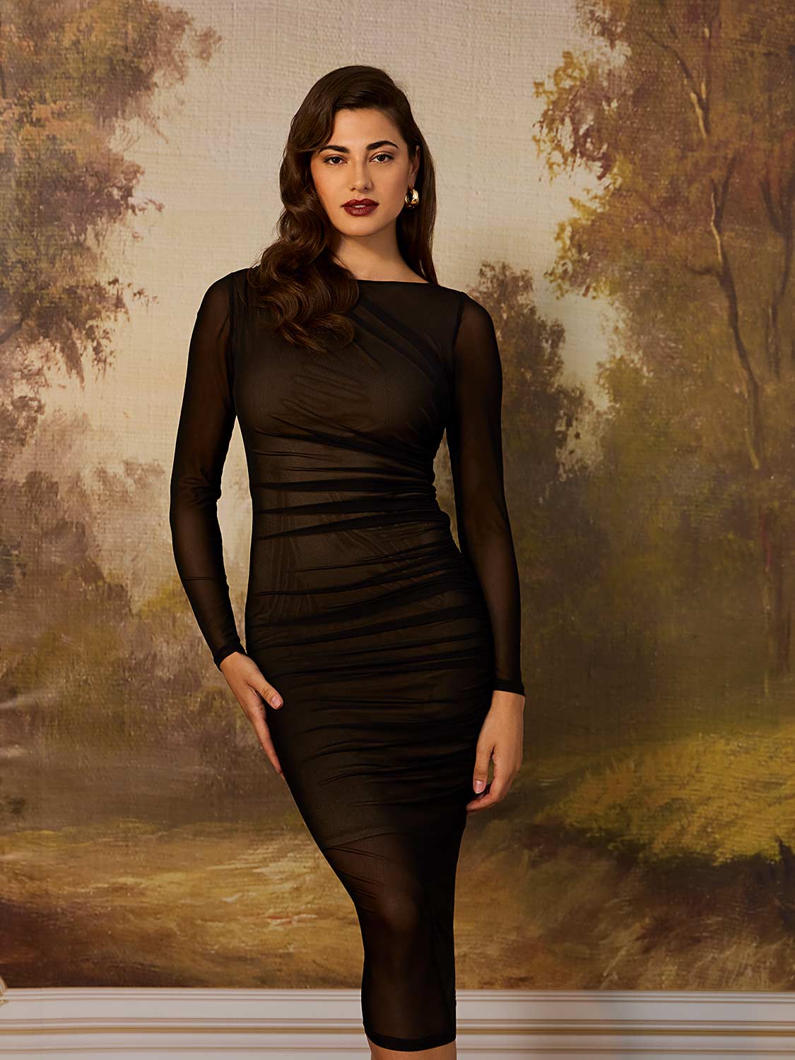 Long Sleeve Boat Neck Mesh Midi Dress