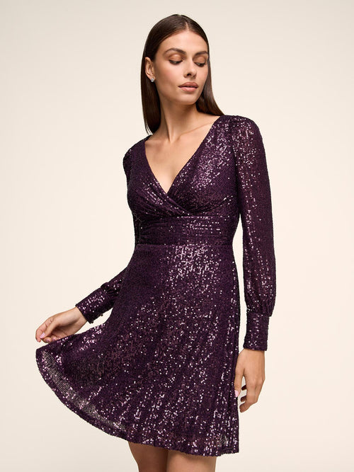 Fit & Flare Sequin Mini Dress