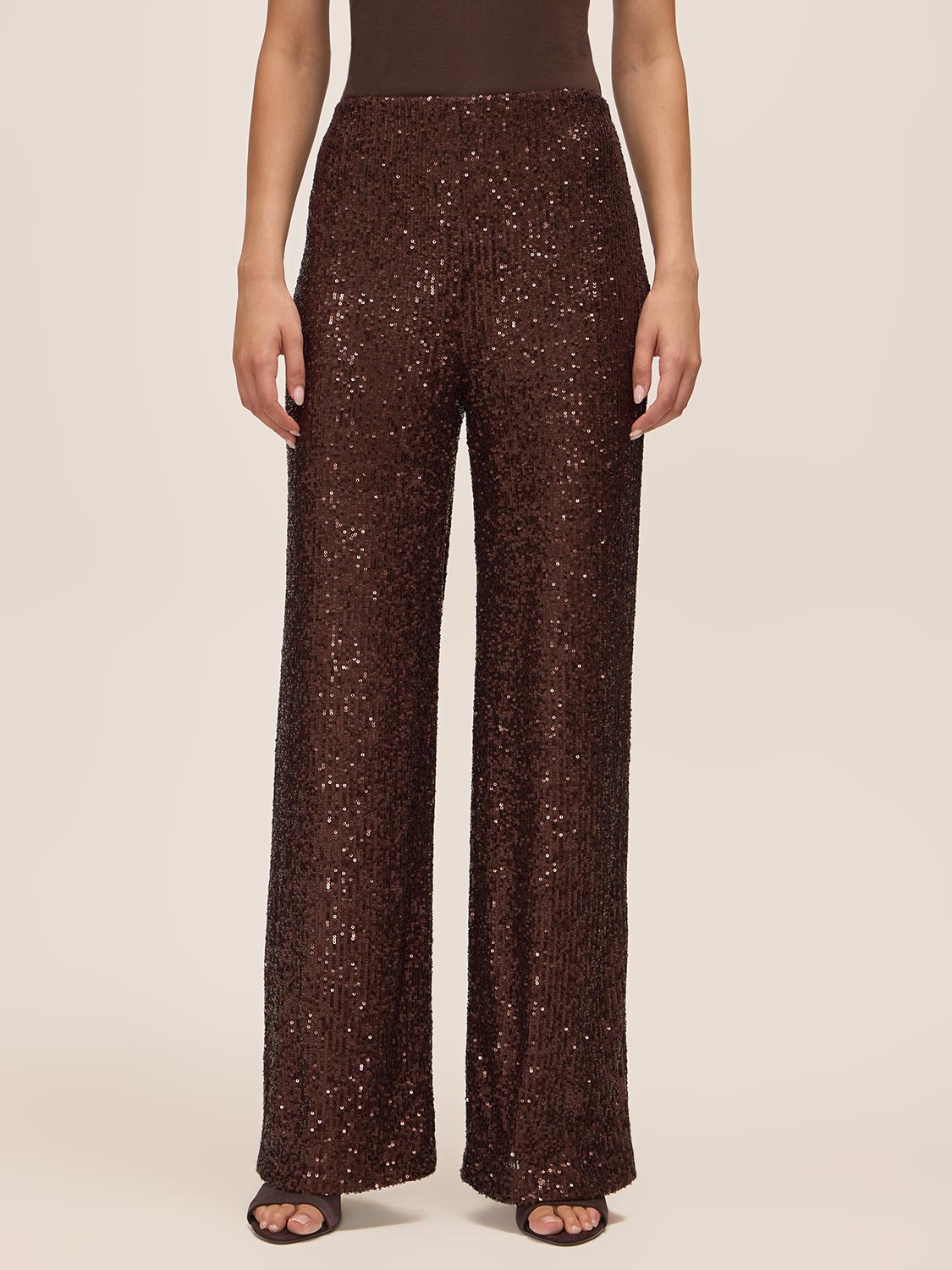 Espresso Sequin Wide-Leg Pant - Front View - Le Chateau