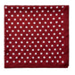 Burgundy Paisley Silk-Like Scarf - Reverse Side Polka Dot Detail - Suzy Shier