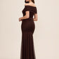 Coco Powder Off-Shoulder Mesh Gown with Shirred Waist - Woman Wearing Elegant Evening Dress - Le Chateau