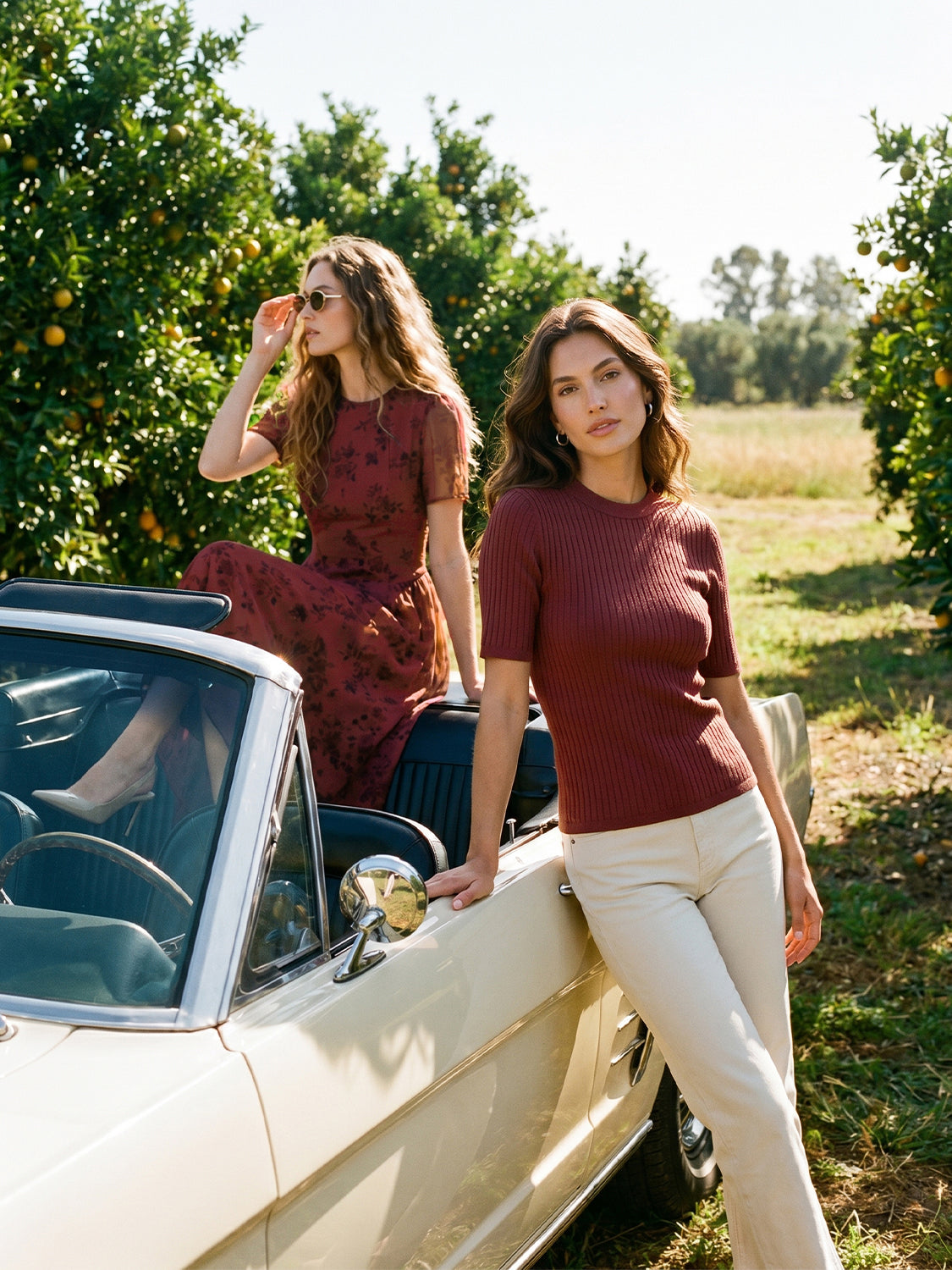 Syrah Ribbed Knit Crew Neck Sweater - Front View - Suzy Shier