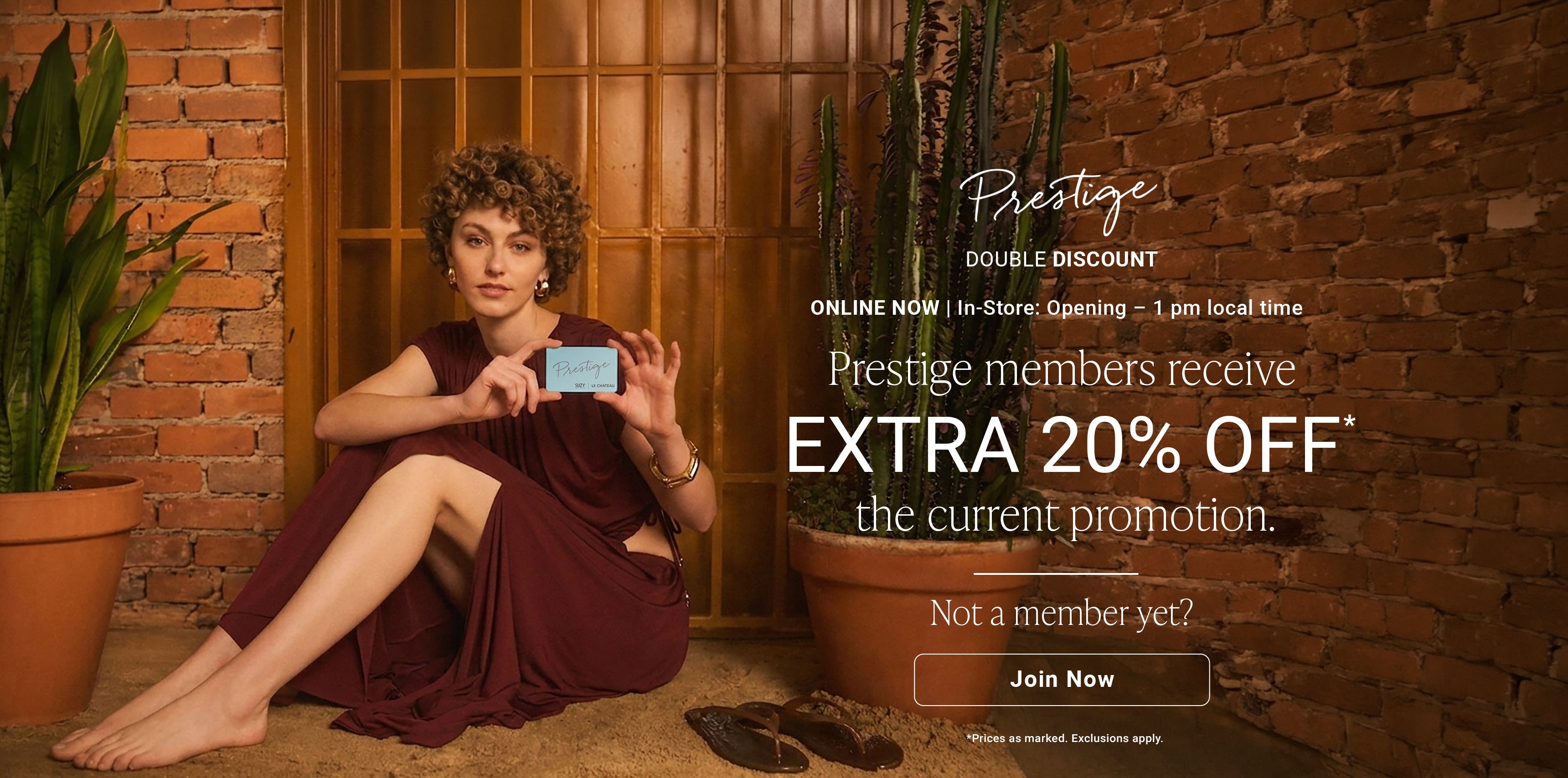 SUZY Banner