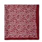 Burgundy Paisley Silk-Like Scarf - Full View - Suzy Shier